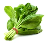 Spinach (Paalakura)